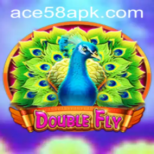 DoubleFly: Mastering the Art of Strategy and Suspense